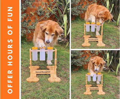 Dog Toy Wooden Puzzle
