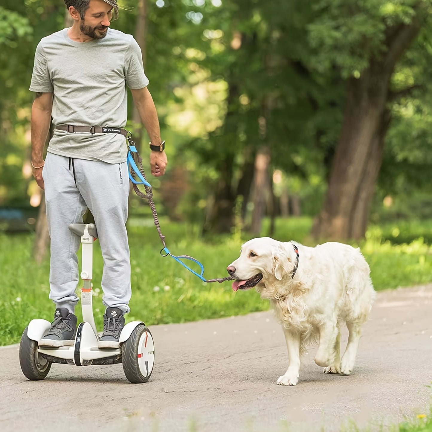 Hands-Free Dog Leash for Running & Walking, Adjustable Waist Belt.
