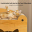 Wooden Cat House