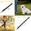 2Pcs Pet Dog Seat Belt Leash Adjustable