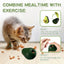 Catnip Feeder Cat Toy