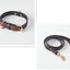 Pet Leash / Dog Collar