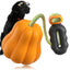 Dog Rope Fetch Exercise Large Aggressive Chewers