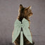 Pet Harness Leash Set Elegant Adjustable Half Vest Design For Cats and Small Dogs.