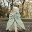Pet Harness Leash Set Elegant Adjustable Half Vest Design For Cats and Small Dogs.