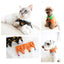 Halloween Pet Pumpkin