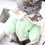 Winter Clothes Puppy Dog