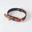 Pet Leash / Dog Collar
