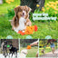 Dog Ball With Rope Toy Dogs Knot Rope Leaking Food.