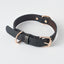 Pet Leash / Dog Collar